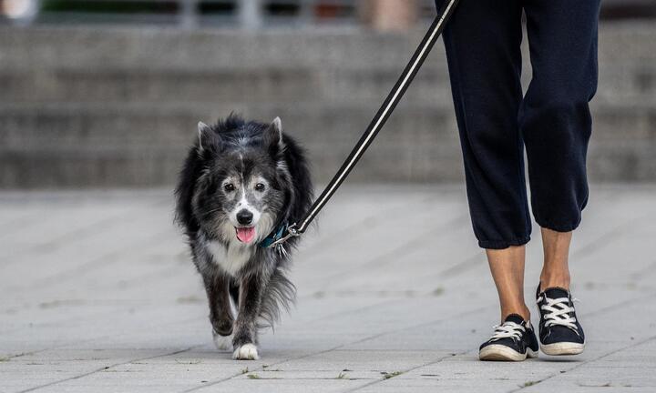 Lợi ích của 2 phút đi bộ sau bữa ăn