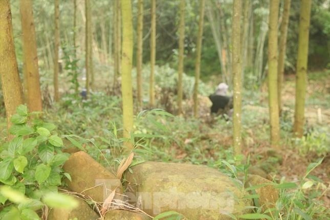 Ở Bắc Giang có 'hòn đá đĩ'