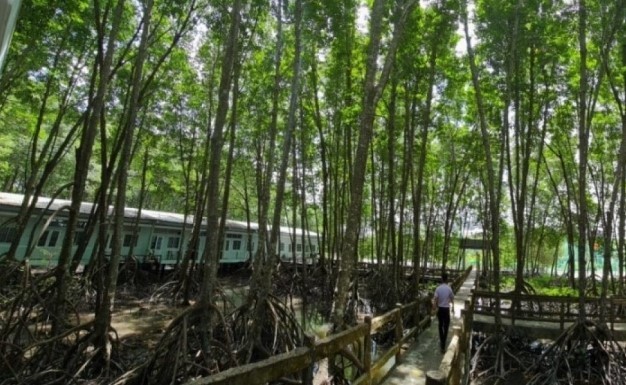 Bắt tạm giam cựu Giám đốc Vườn Quốc gia Mũi Cà Mau tham ô hơn 6,5 tỷ đồng