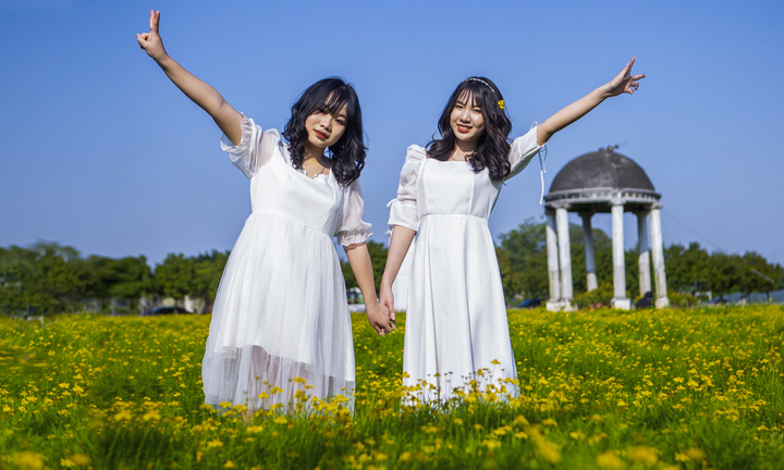 Cánh đồng cúc sao băng thu hút giới trẻ Hà Nội đến check-in ngày cuối tuần