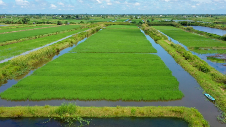 Liên kết vì những cánh đồng hạnh phúc