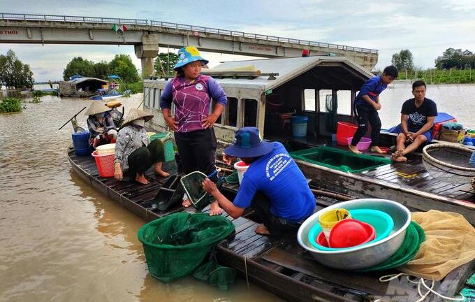 Vào mùa cá linh đầu nguồn biên giới
