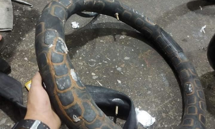 Hình ảnh hài hước phơi bày những 'biểu hiện của sự cố chấp' chạm mức đỉnh cao