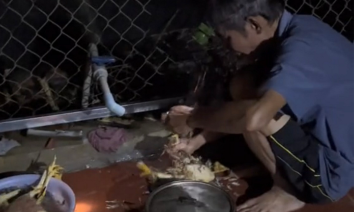 Bật dậy lúc 5 giờ sáng, con gái ở xa về rưng rưng khi thấy việc bố mẹ đang làm