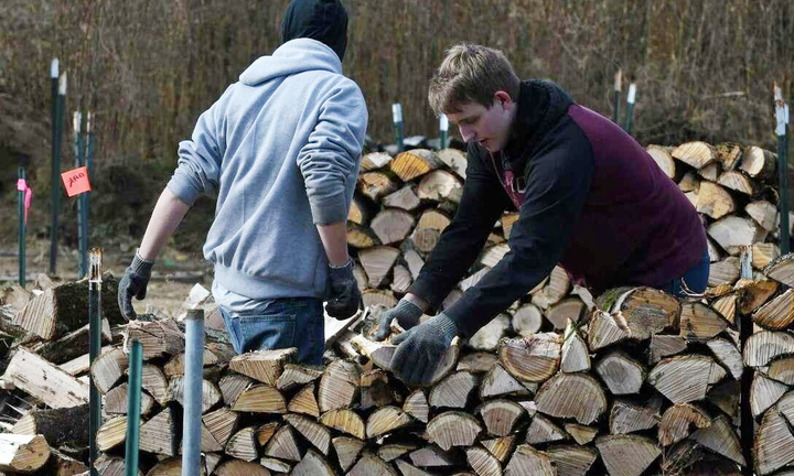 Dân Mỹ cũng săn tìm củi và bếp lò để sưởi ấm