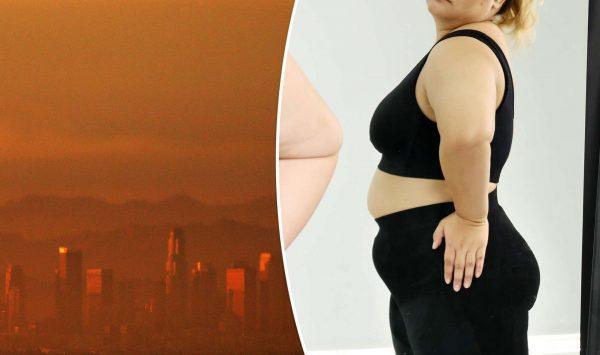 Ô nhiễm không khí khiến phụ nữ béo hơn