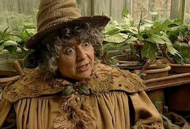 Cát-sê 1,7 tỷ đồng cho vai diễn 3 phút trong ‘Harry Potter’