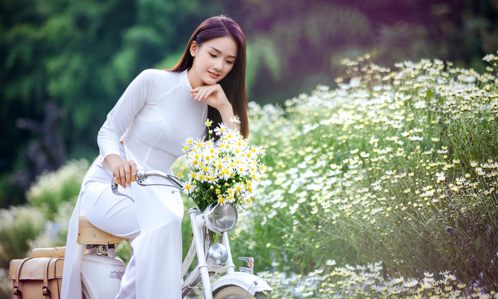 Thiếu nữ Hà thành khoe dáng bên cánh đồng cúc họa mi nở rộ