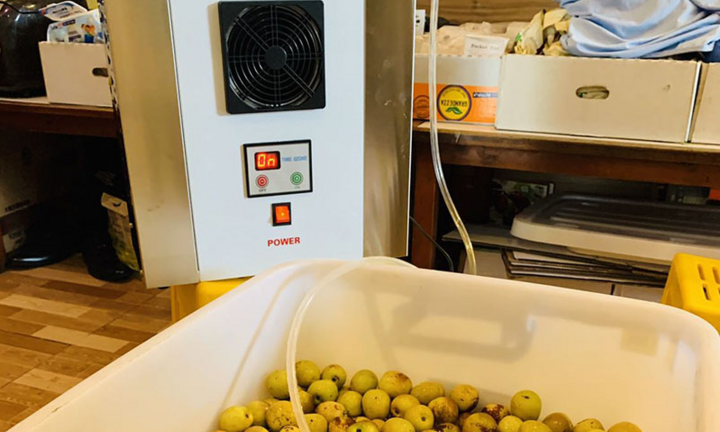 Công dụng máy ozone: Làm sạch thực phẩm, diệt khuẩn nước sinh hoạt