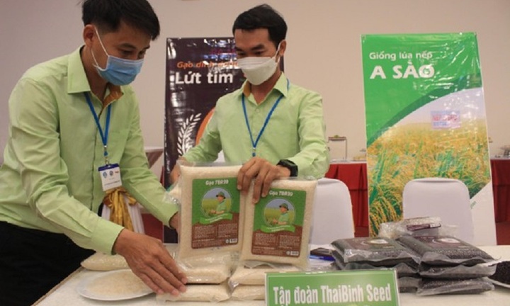 Lùm xùm nghi vấn 'đánh tráo' gạo ngon nhất: Chủ tịch Hiệp hội Lương thực nói gì?