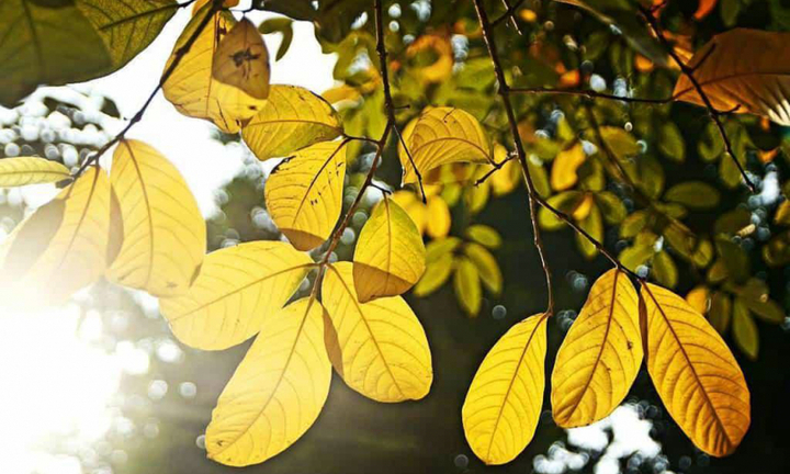 Thời tiết hôm nay 9/11: Bắc Bộ nắng hanh, ngày và đêm chênh lệch trên 10 độ C