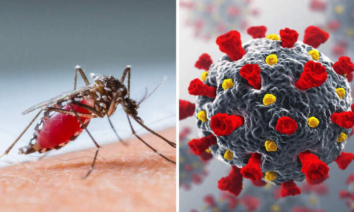 Làm gì để đối mặt sốt xuất huyết khi 'dịch chồng dịch'?