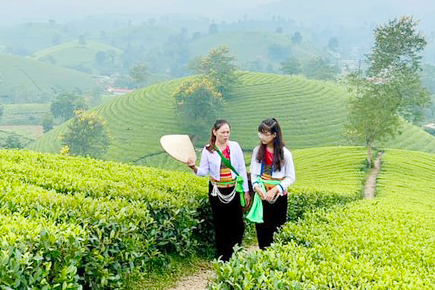 Vẻ đẹp Long Cốc mùa đẹp nhất trong năm