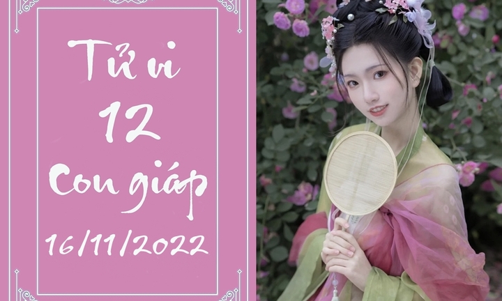 Tử vi vui 12 con giáp hôm nay thứ Tư 16/11: Mão rạn nứt tình cảm, Tý bội thu