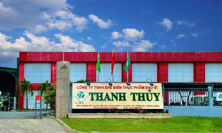 Khám phá quy trình sản xuất nước mắm đạt chuẩn chất lượng quốc tế