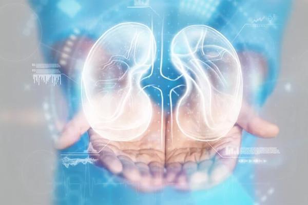 Vì sao đàn ông thường bị bệnh thận tấn công mạnh hơn?