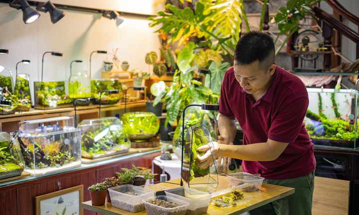 Chàng trai 9X kiếm trăm triệu mỗi tháng từ thú chơi 'lồng kính xanh'