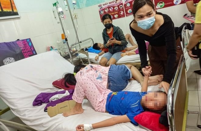 Vi khuẩn gây ngộ độc ở trường Ischool Nha Trang sống trong môi trường nào?