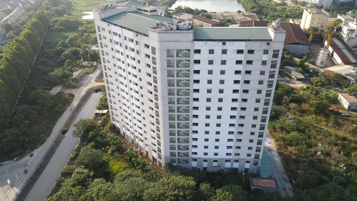 Hà Nội: Khu tái định cư gần 800 tỷ đồng bỏ hoang thành nơi nuôi gà