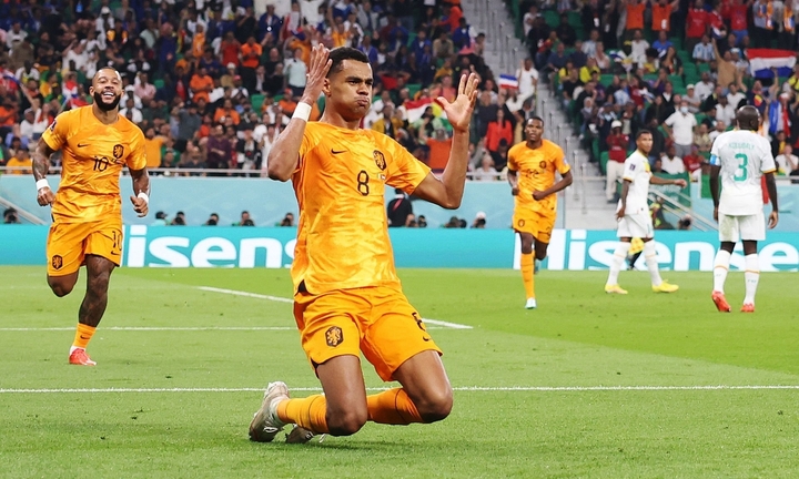 Nhận định bóng đá Hà Lan vs Ecuador: Tranh ngôi đầu bảng