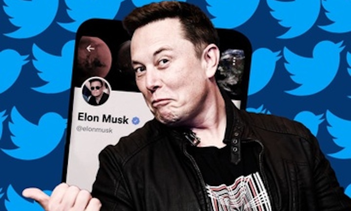 Tick xanh Twitter trở lại, có thêm màu mới