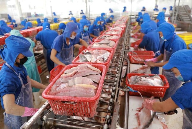 Vì cái khay nhựa, một doanh nghiệp thuỷ sản Việt mất thị trường xuất khẩu vào EU