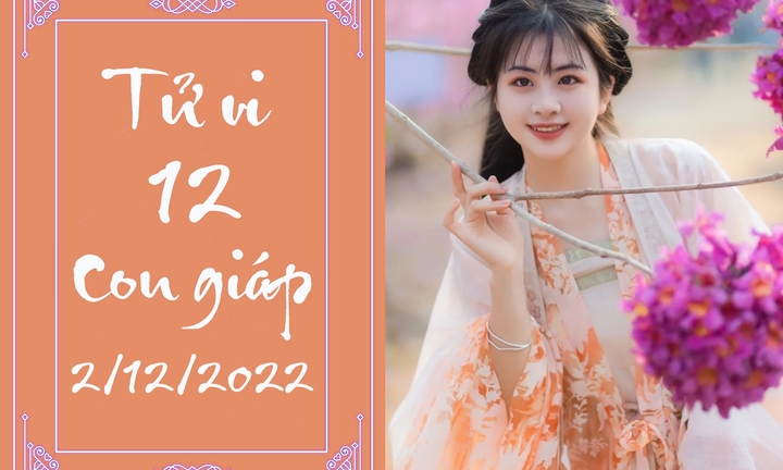Tử vi vui 12 con giáp hôm nay thứ Sáu 2/12: Mùi tăng thu nhập, Tỵ nâng địa vị