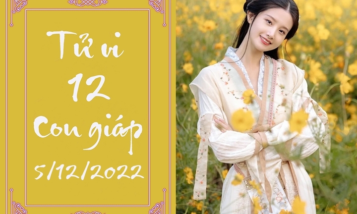 Tử vi 12 con giáp hôm nay thứ Hai ngày 5/12: Tý có hướng mới, Mão bị đố kị