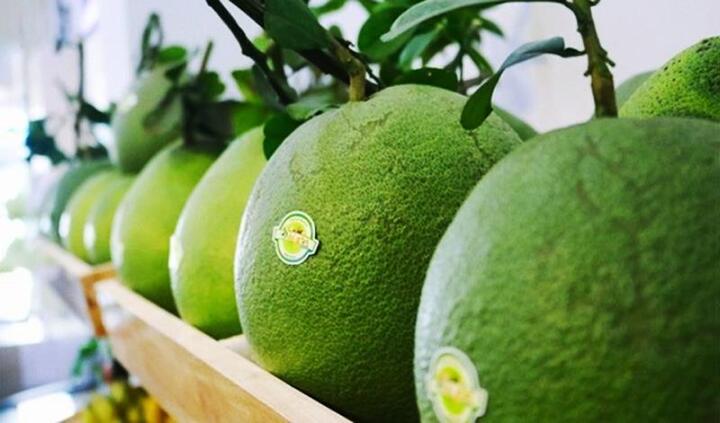 Xuất khẩu lô bưởi đầu tiên của Việt Nam sang thị trường Mỹ
