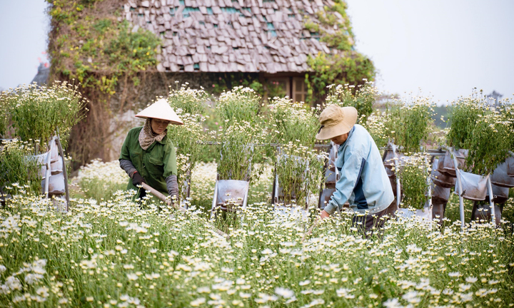 Dự báo thời tiết hôm nay 28/11: Bắc Bộ trời nắng trước khi nhiệt độ giảm sâu