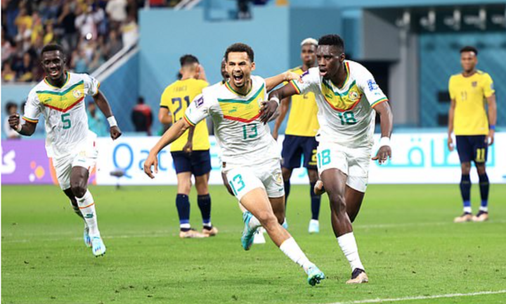 Trực tiếp bóng đá Ecuador 1-2 Senegal: Koulibably lập công