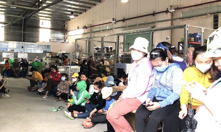 Hàng trăm công nhân lãn công đòi quyền lợi: Công ty SSLV tuyên bố giải thể