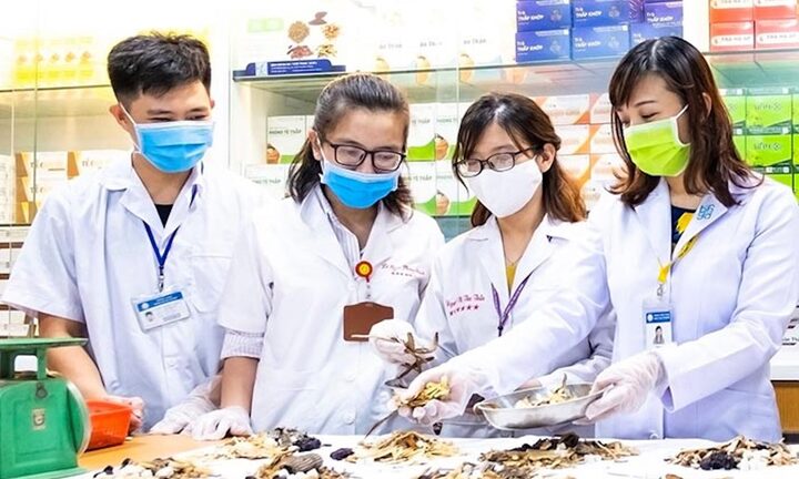 Ngành Y học cổ truyền sẽ có chuẩn đào tạo mới