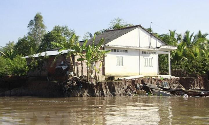 Vĩnh Long: Sạt lở bờ sông Cổ Chiên, 13 căn nhà rơi xuống sông