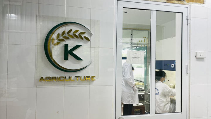 K-Agriculture - đơn vị uy tín trong ngành xuất khẩu nông sản