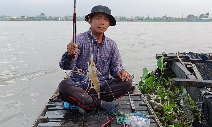 Vào mùa câu tôm càng xanh trên sông Hậu