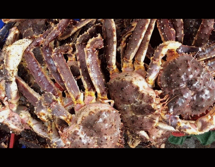 Hải sản cao cấp giá giảm mạnh, có loại rẻ hơn gần 1 triệu đồng/kg