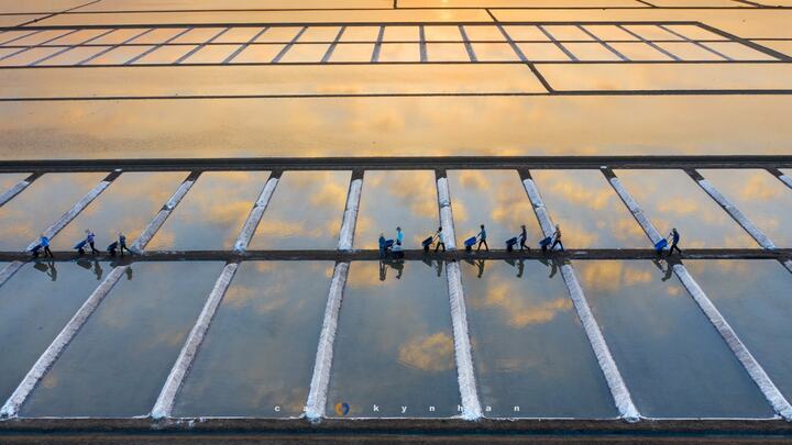 Đi Vũng Tàu nhiều nhưng không phải ai cũng biết cánh đồng đẹp đến say lòng này