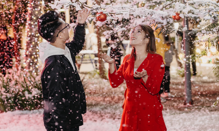 Giáng sinh 2022 đi chơi đâu ở TP.HCM?