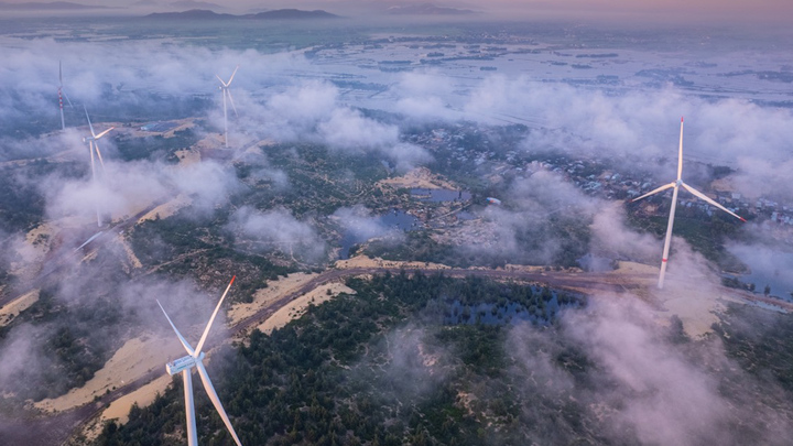 Vẻ đẹp huyền ảo trên 'cánh đồng' điện gió ở Bình Định
