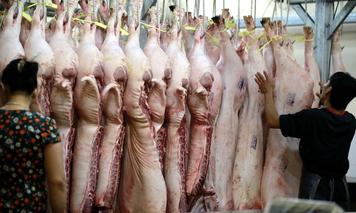 Giá heo hơi hôm nay 21/12: Thị trường ổn định, tăng giảm không đáng kể