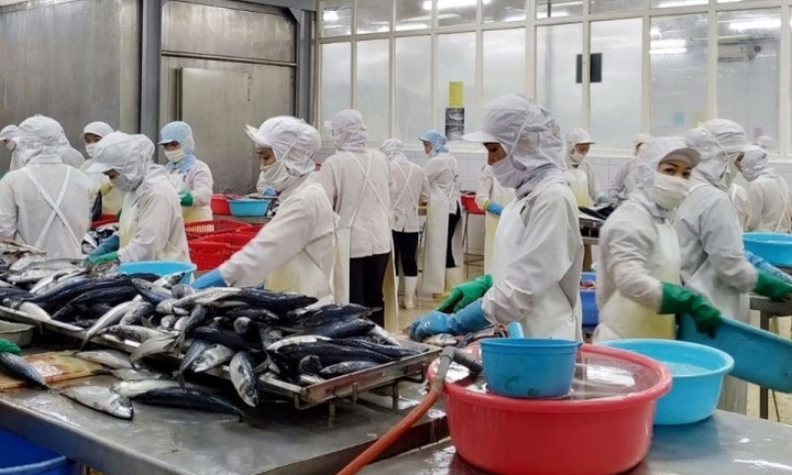 Xuất khẩu nông, lâm, thủy sản lập kỷ lục mới