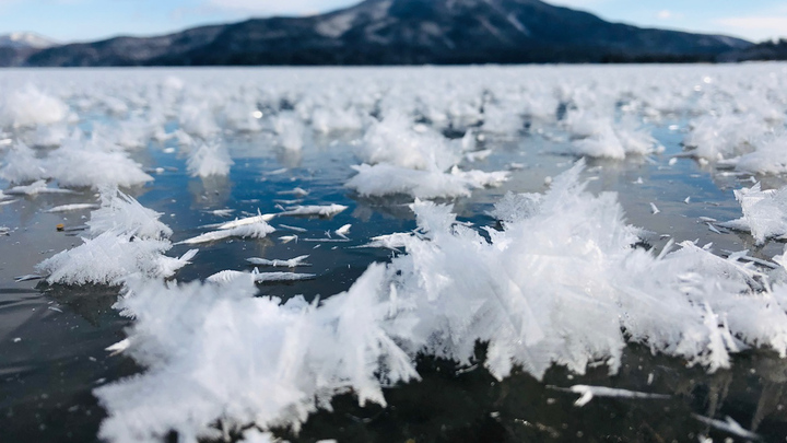 Độc đáo mặt hồ nở hoa băng ở Nhật Bản