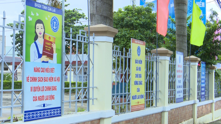 BHXH Việt Nam và Đại học Waikato tổ chức Khóa bồi dưỡng an toàn thông tin mạng