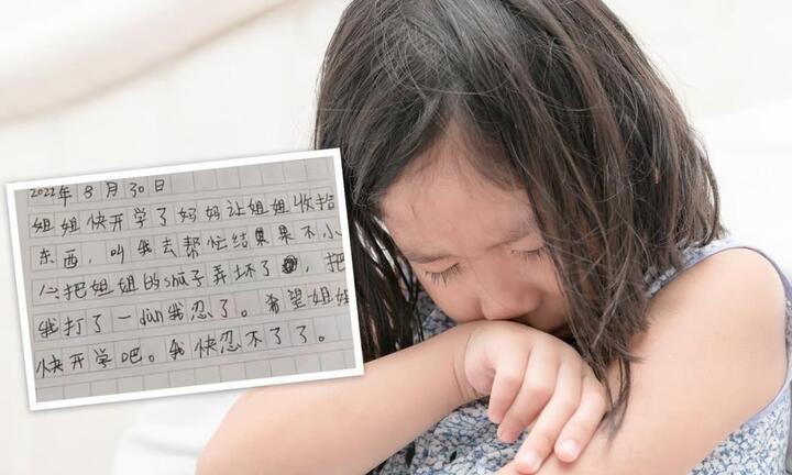 Dân mạng phát sốt với 'nhật ký ghi thù' đáng yêu của cô bé 8 tuổi 