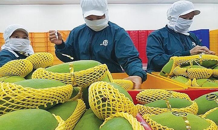 Trung Quốc mở cửa, doanh nghiệp Việt cần lưu ý gì?