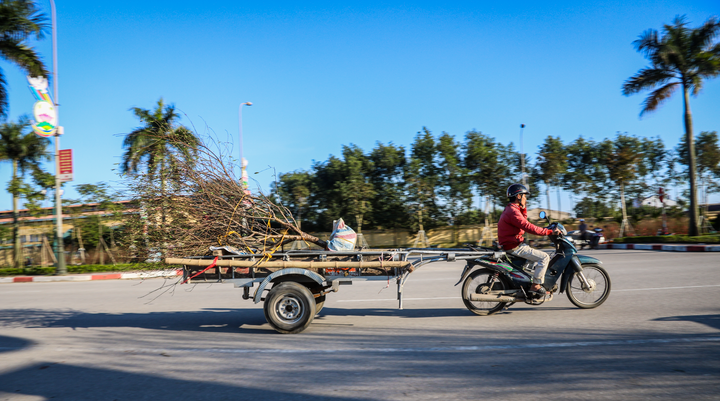 Nghề ‘chở Tết’ đắt khách những ngày cuối năm