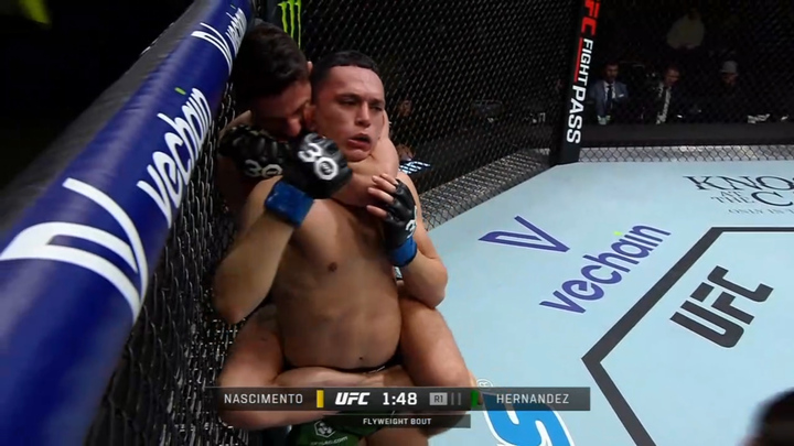 Võ sĩ tung đòn siết cổ buộc đối thủ xin hàng 