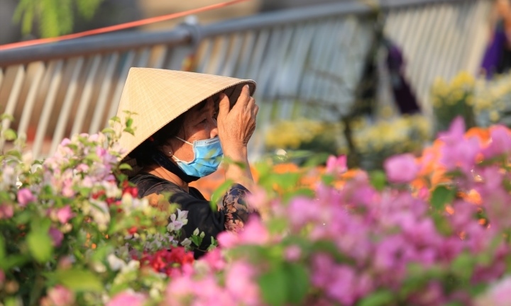 Chợ hoa 'Trên bến dưới thuyền' ở TP.HCM rộn ràng sắc xuân 