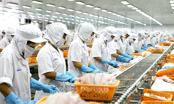 Doanh nghiệp lên kế hoạch ra quân, mở hàng đầu năm mới